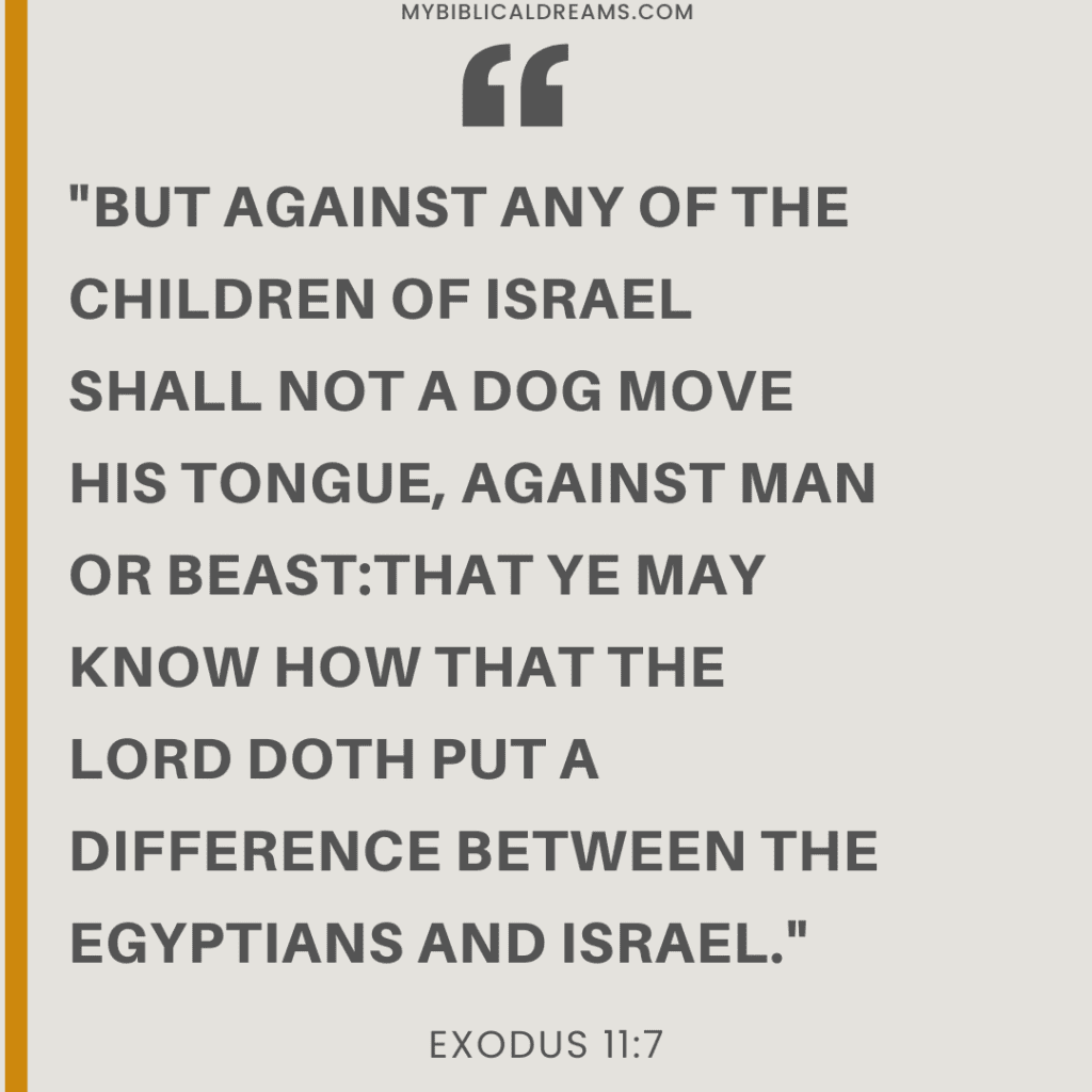 Dog Represents Wicked People